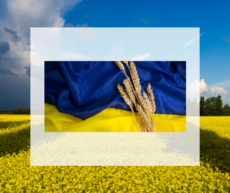 23.08.25 День Прапора